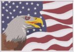 USA Patriotic Logo with Eagle & Flag Digitized file for Sale in All machine formats Digitized by 360 Digitizing Services Company in USA