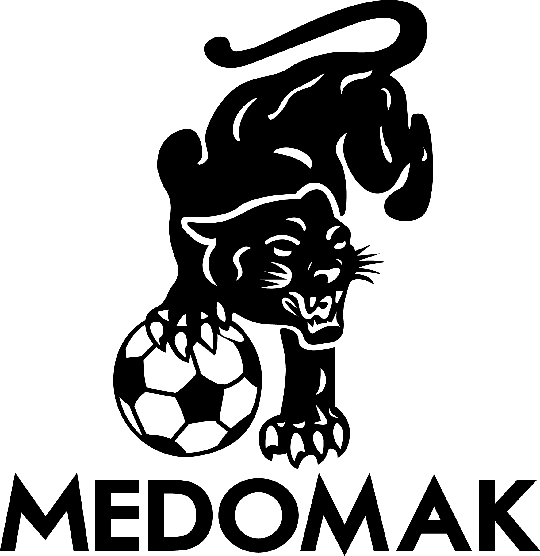 Medomak Panther