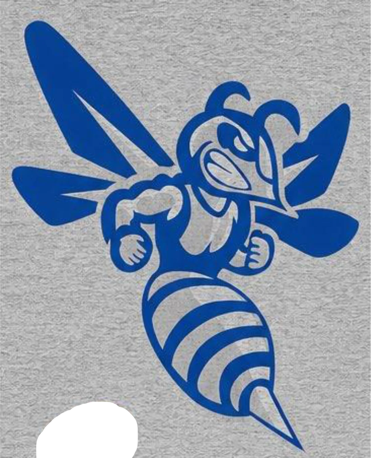 Original customer artwork for cotton other digitizing project