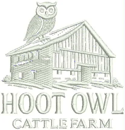 Final digitized proof for canvas cap-front digitizing project